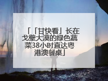「甘快看」长在戈壁大漠的绿色蔬菜38小时直达粤港澳餐桌