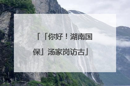 「你好！湖南国保」汤家岗访古
