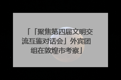 「聚焦第四届文明交流互鉴对话会」外宾团组在敦煌市考察