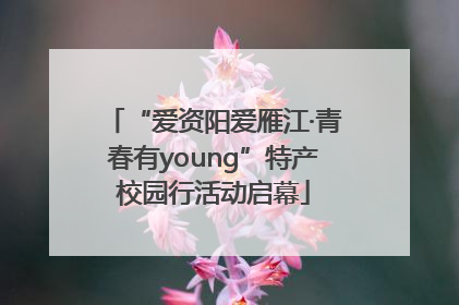 “爱资阳爱雁江·青春有young”特产校园行活动启幕