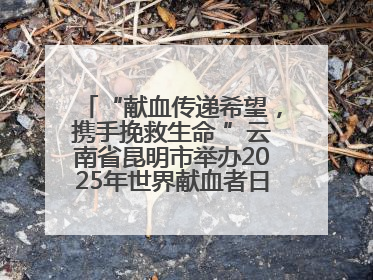 “献血传递希望，携手挽救生命 ”云南省昆明市举办2025年世界献血者日主题宣传活动