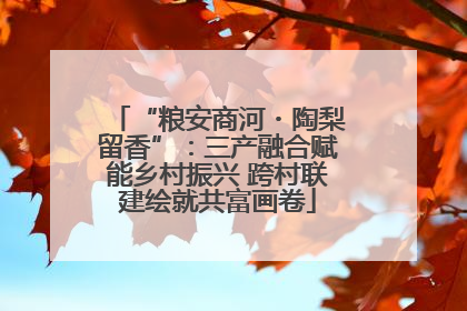 “粮安商河・陶梨留香”：三产融合赋能乡村振兴 跨村联建绘就共富画卷