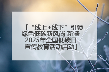 “线上+线下”引领绿色低碳新风尚 新疆2025年全国低碳日宣传教育活动启动