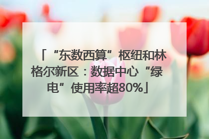 “东数西算”枢纽和林格尔新区：数据中心“绿电”使用率超80%