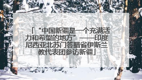 “中国新疆是一个充满活力和希望的地方”——印度尼西亚北苏门答腊省伊斯兰教代表团参访新疆