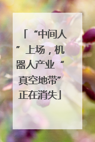 “中间人”上场，机器人产业“真空地带”正在消失