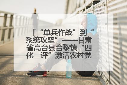 “单兵作战”到“系统攻坚”——甘肃省高台县合黎镇“四化一评”激活农村党员管理新引擎