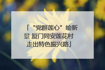 “党群莲心”绘新景 厦门同安莲花村走出特色振兴路
