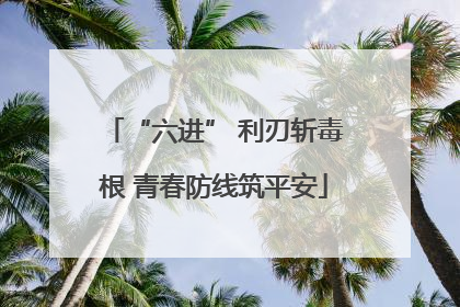 “六进” 利刃斩毒根 青春防线筑平安