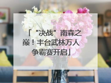 “决战”南森之巅！丰台武林万人争霸赛开启