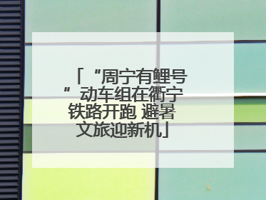 “周宁有鲤号”动车组在衢宁铁路开跑 避暑文旅迎新机