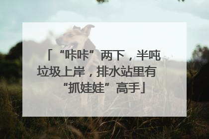 “咔咔”两下，半吨垃圾上岸，排水站里有“抓娃娃”高手