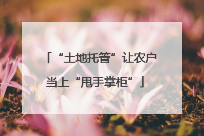 “土地托管”让农户当上“甩手掌柜”