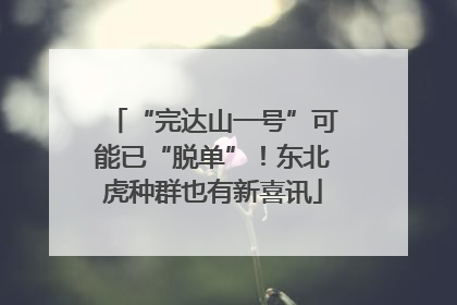 “完达山一号”可能已“脱单”！东北虎种群也有新喜讯