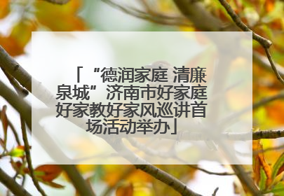 “德润家庭 清廉泉城”济南市好家庭好家教好家风巡讲首场活动举办