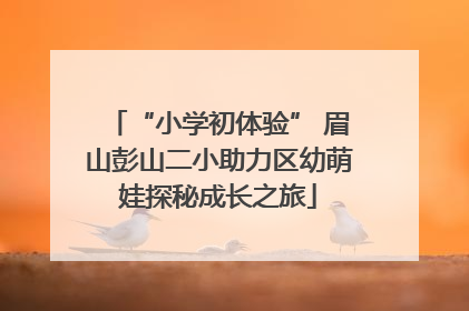 “小学初体验” 眉山彭山二小助力区幼萌娃探秘成长之旅
