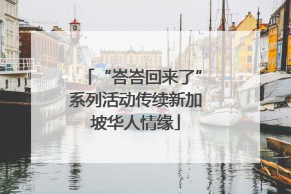 “峇峇回来了”系列活动传续新加坡华人情缘