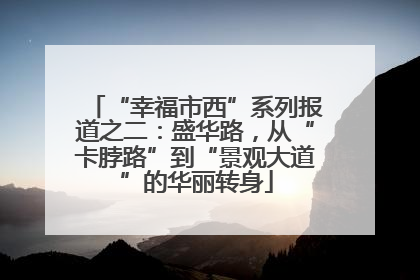 “幸福市西”系列报道之二：盛华路，从“卡脖路”到“景观大道”的华丽转身
