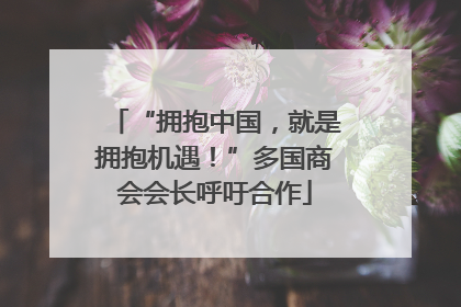 “拥抱中国，就是拥抱机遇！”多国商会会长呼吁合作