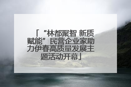 “林都聚智 新质赋能”民营企业家助力伊春高质量发展主题活动开幕