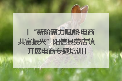“新阶聚力赋能·电商共富振兴”阳信县劳店镇开展电商专题培训