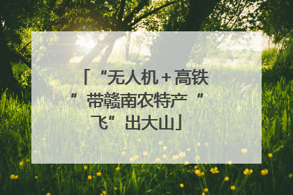 “无人机＋高铁”带赣南农特产“飞”出大山