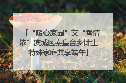 “暖心家园”艾“香情浓”滨城区秦皇台乡计生特殊家庭共享端午