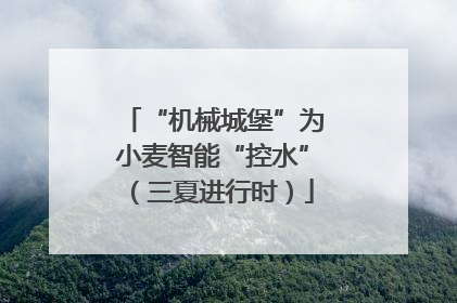 “机械城堡”为小麦智能“控水”（三夏进行时）