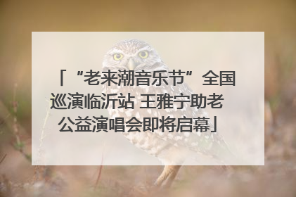 “老来潮音乐节”全国巡演临沂站 王雅宁助老公益演唱会即将启幕