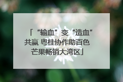 “输血”变“造血”共赢 粤桂协作助百色芒果畅销大湾区