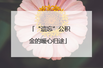 “遗忘”公积金的暖心归途