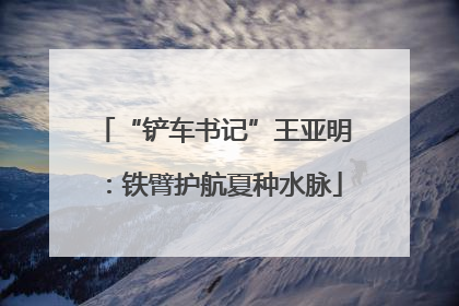 “铲车书记”王亚明：铁臂护航夏种水脉