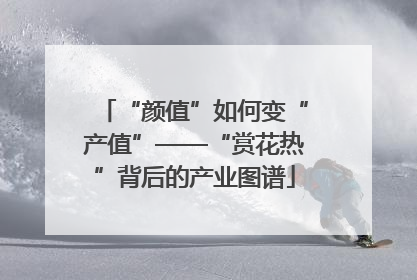 “颜值”如何变“产值”——“赏花热”背后的产业图谱
