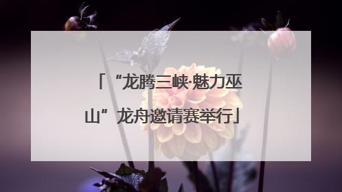 “龙腾三峡·魅力巫山”龙舟邀请赛举行