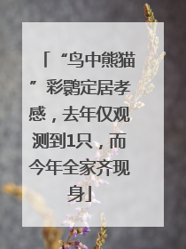 “鸟中熊猫”彩鹮定居孝感，去年仅观测到1只，而今年全家齐现身