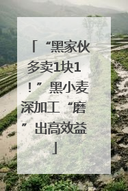“黑家伙多卖1块1！”黑小麦深加工“磨”出高效益