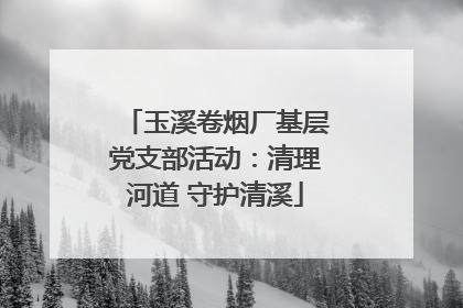 玉溪卷烟厂基层党支部活动：清理河道 守护清溪