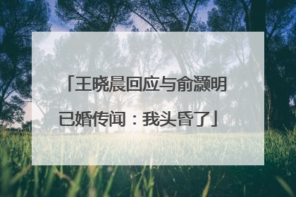 王晓晨回应与俞灏明已婚传闻：我头昏了