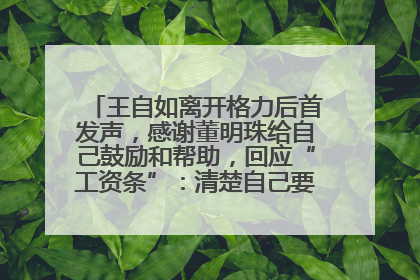 王自如离开格力后首发声，感谢董明珠给自己鼓励和帮助，回应“工资条”：清楚自己要什么，工资条不重要