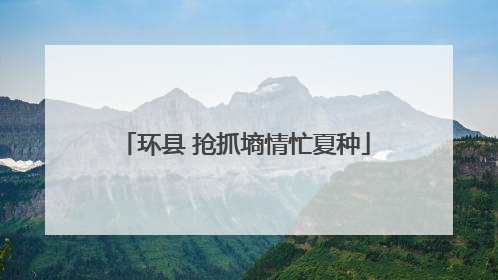 环县 抢抓墒情忙夏种