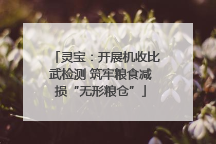 灵宝：开展机收比武检测 筑牢粮食减损“无形粮仓”