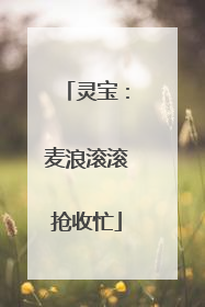 灵宝：麦浪滚滚抢收忙