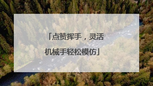 点赞挥手，灵活机械手轻松模仿