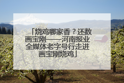 烧鸡哪家香？还数画宝刚——河南报业全媒体老字号行走进画宝刚烧鸡