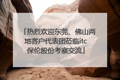 热烈欢迎东莞、佛山两地客户代表团莅临itc保伦股份考察交流