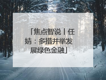 焦点智说丨任婧：多措并举发展绿色金融
