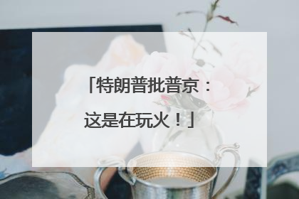 特朗普批普京：这是在玩火！