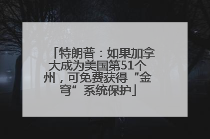 特朗普：如果加拿大成为美国第51个州，可免费获得“金穹”系统保护