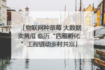 物联网种草莓 大数据卖黄瓜 临沂“四雁孵化”工程链动乡村共富