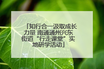 知行合一汲取成长力量 南通通州兴东街道“行走课堂”实地研学活动